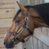 ThinLine Busy Buddy Halter Attachment